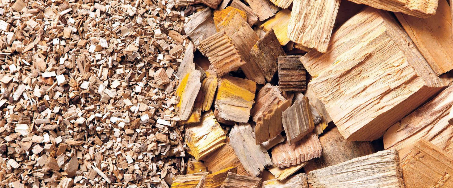 Caldaie a biomassa